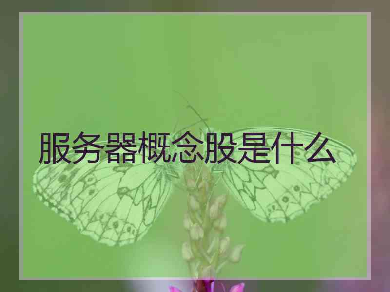 服务器概念股是什么