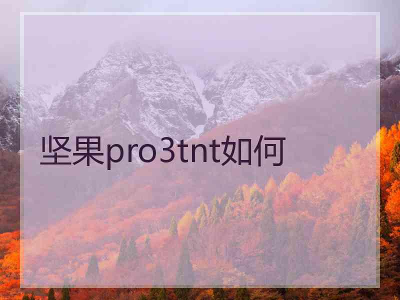 坚果pro3tnt如何
