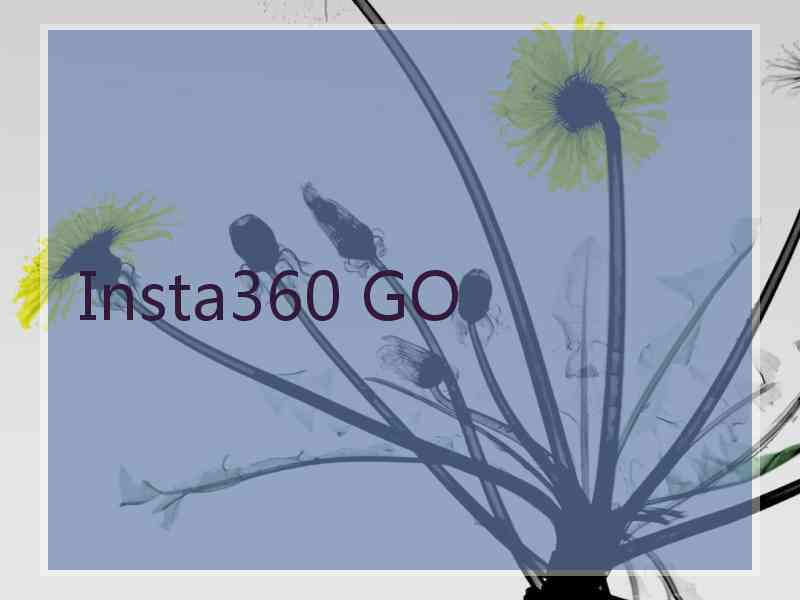 Insta360 GO