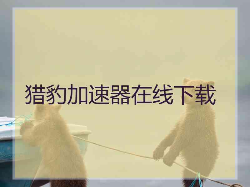 猎豹加速器在线下载
