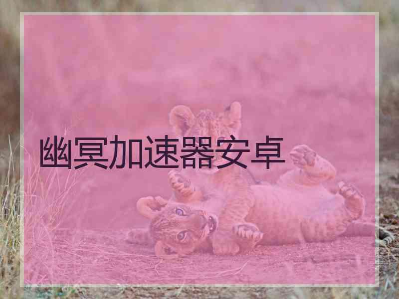 幽冥加速器安卓