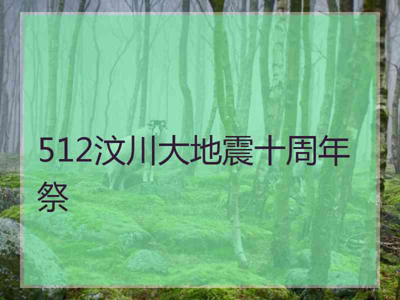 512汶川大地震十周年祭