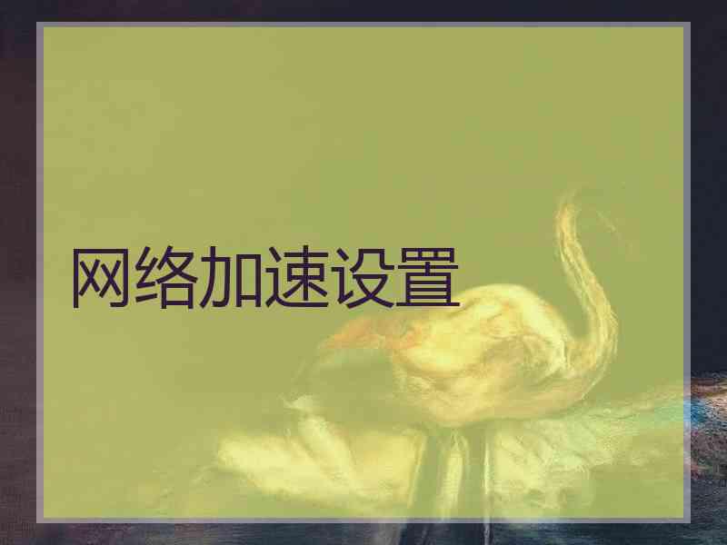 网络加速设置