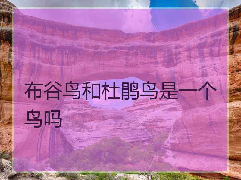 布谷鸟和杜鹃鸟是一个鸟吗