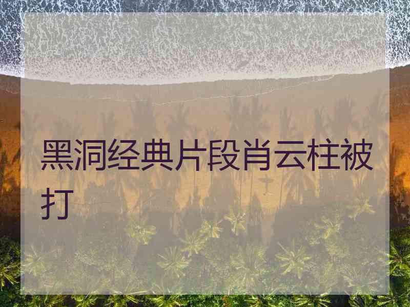 黑洞经典片段肖云柱被打