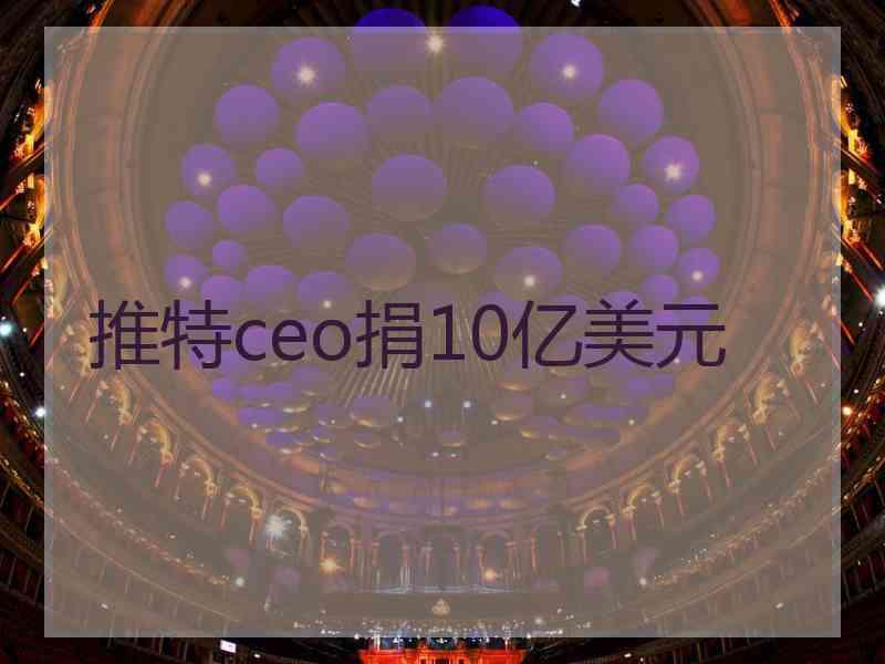 推特ceo捐10亿美元