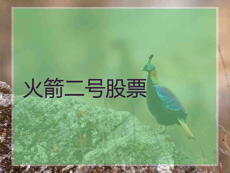 火箭二号股票