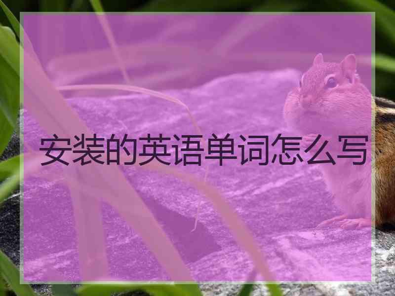 安装的英语单词怎么写