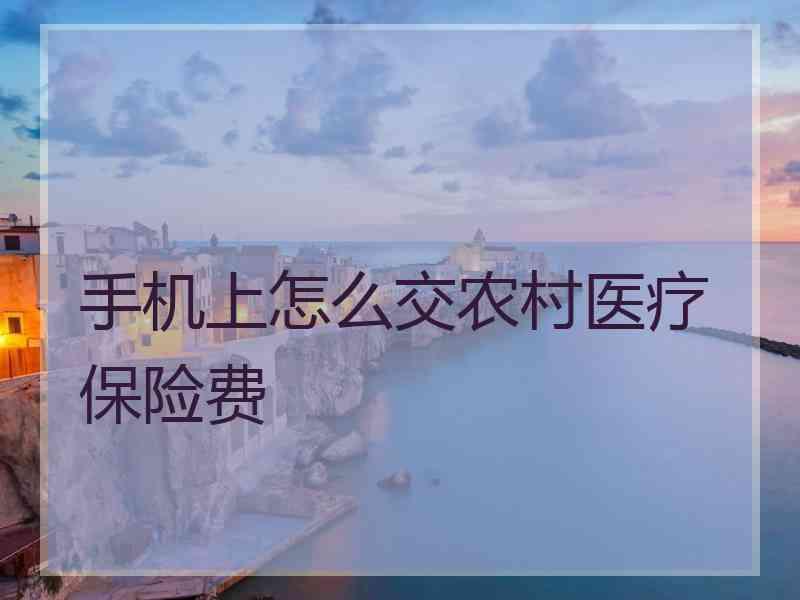 手机上怎么交农村医疗保险费