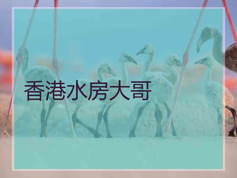 香港水房大哥