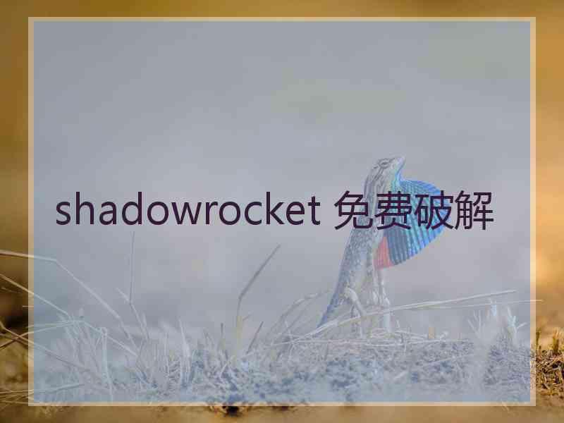 shadowrocket 免费破解