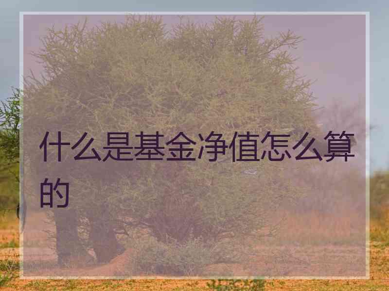 什么是基金净值怎么算的
