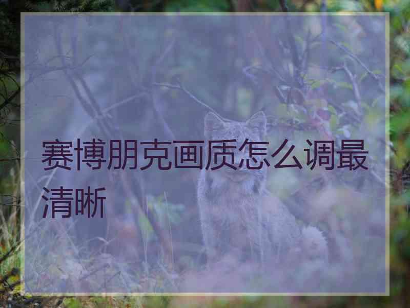 赛博朋克画质怎么调最清晰
