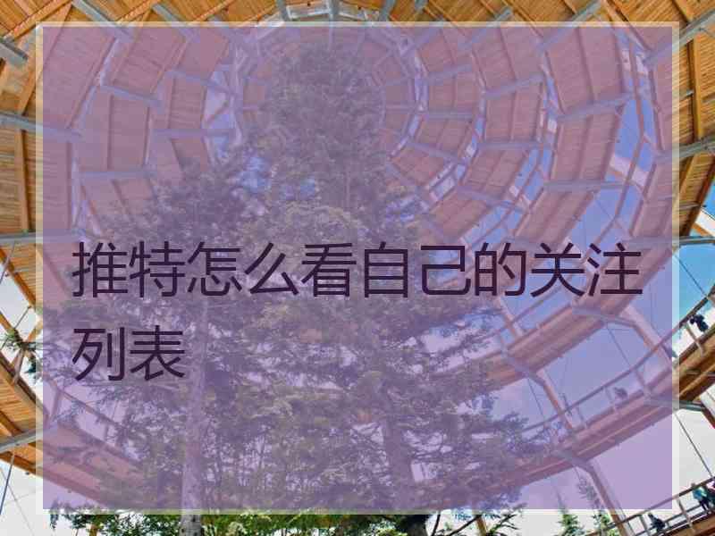 推特怎么看自己的关注列表