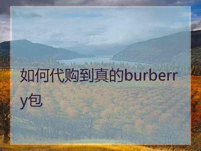 如何代购到真的burberry包
