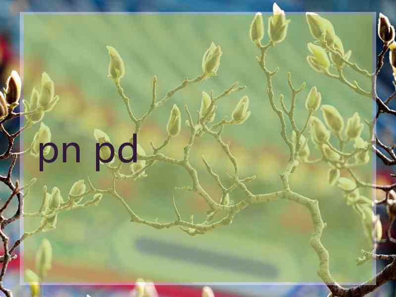 pn pd