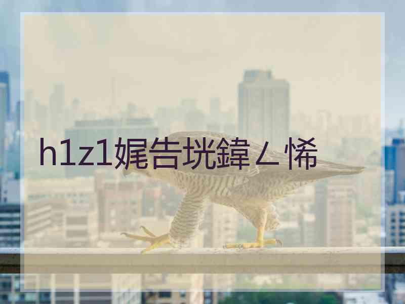 h1z1娓告垙鍏ㄥ悕