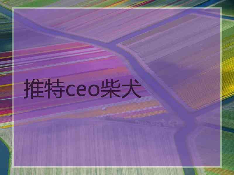 推特ceo柴犬