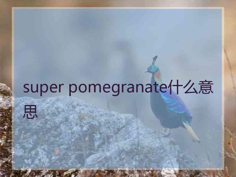 super pomegranate什么意思