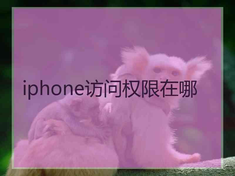 iphone访问权限在哪