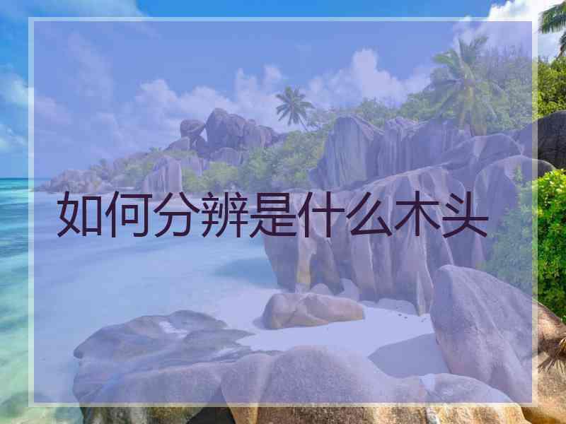 如何分辨是什么木头