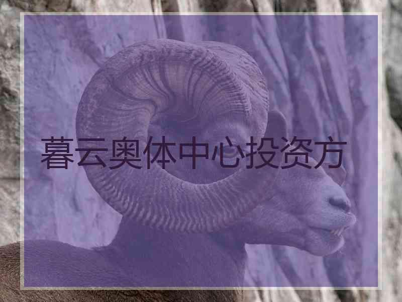 暮云奥体中心投资方