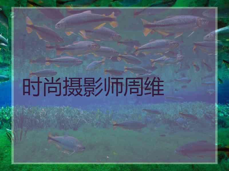 时尚摄影师周维