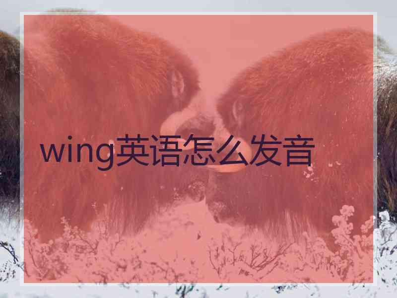 wing英语怎么发音