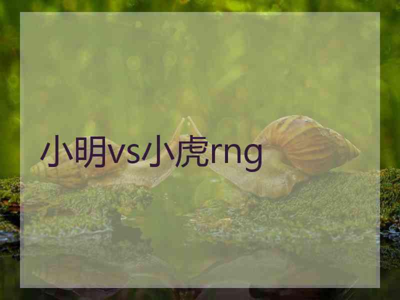 小明vs小虎rng