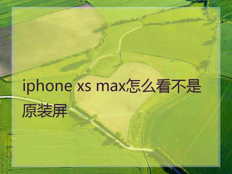 iphone xs max怎么看不是原装屏