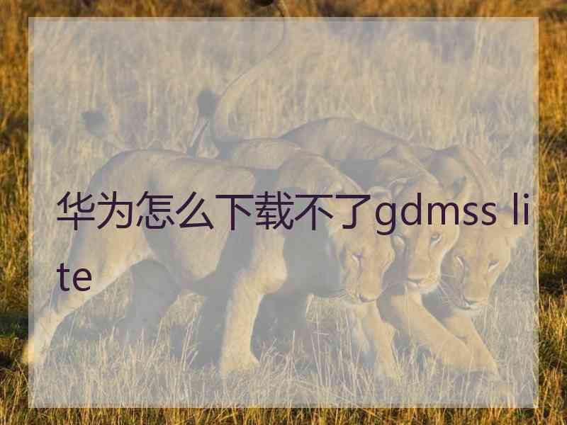 华为怎么下载不了gdmss lite