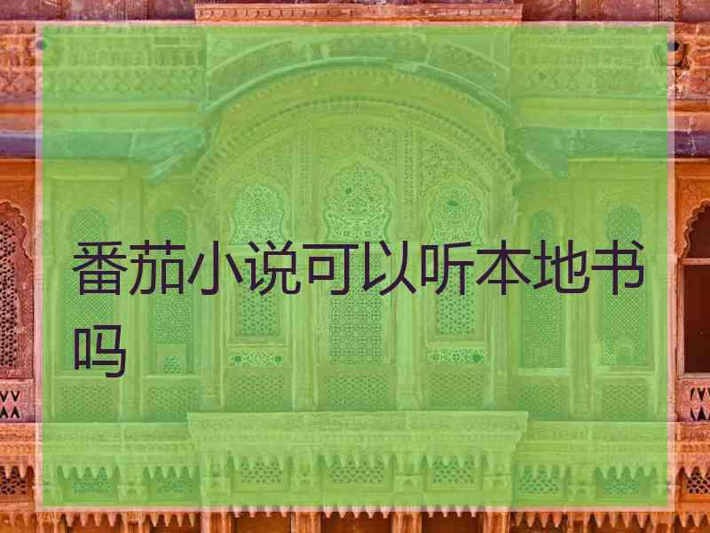 番茄小说可以听本地书吗
