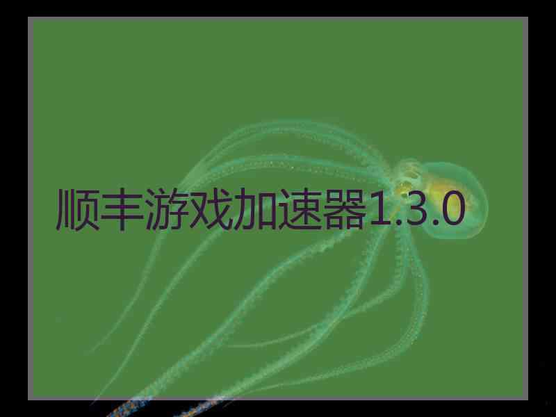 顺丰游戏加速器1.3.0
