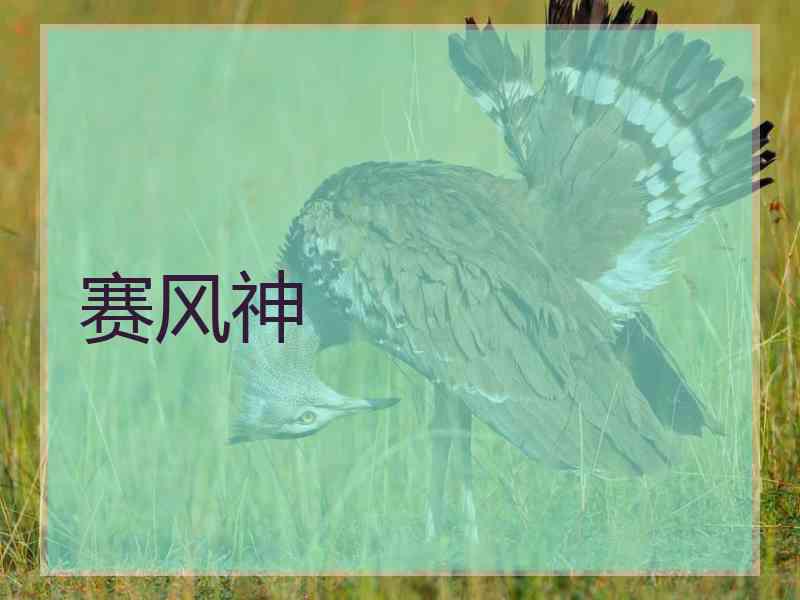 赛风神