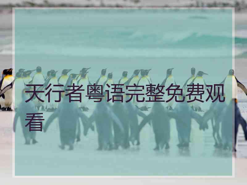 天行者粤语完整免费观看