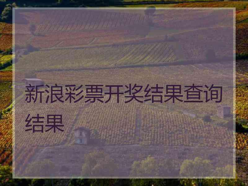新浪彩票开奖结果查询结果