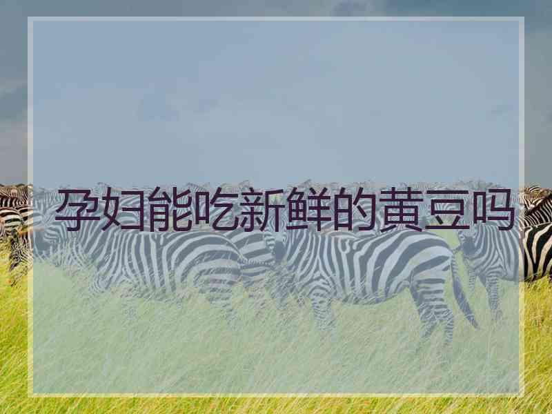 孕妇能吃新鲜的黄豆吗