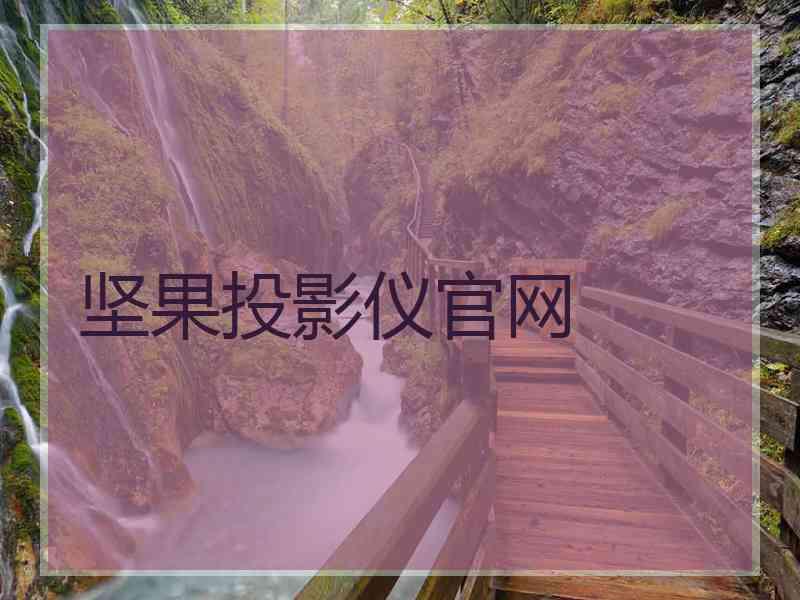 坚果投影仪官网