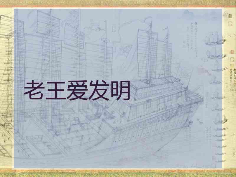 老王爱发明
