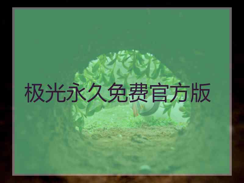 极光永久免费官方版