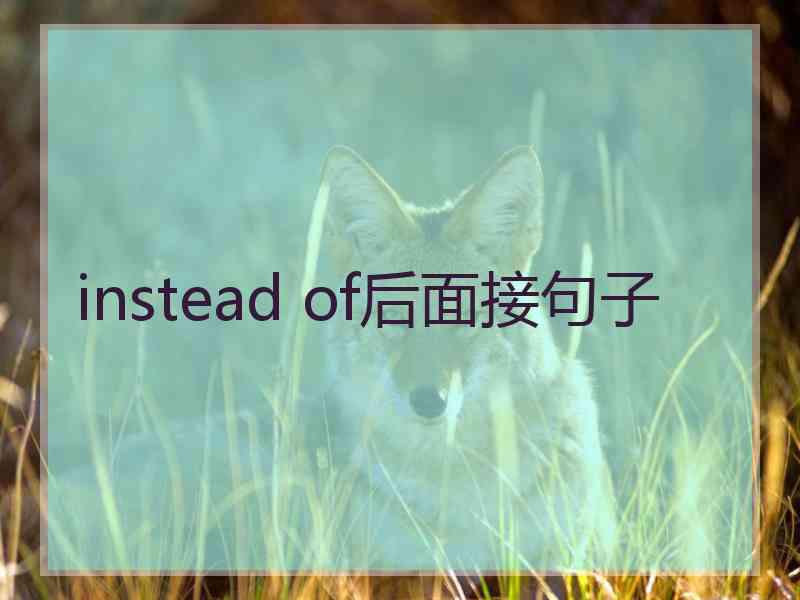 instead of后面接句子