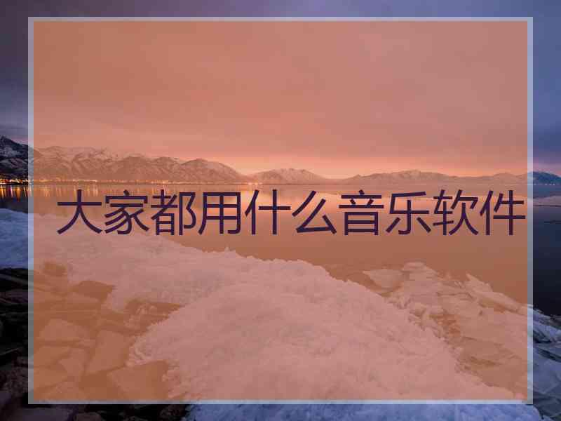 大家都用什么音乐软件
