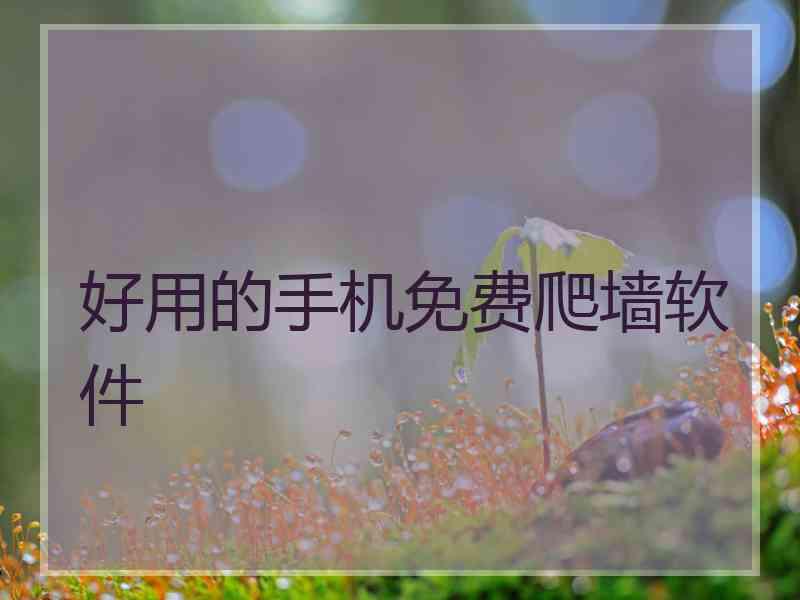 好用的手机免费爬墙软件