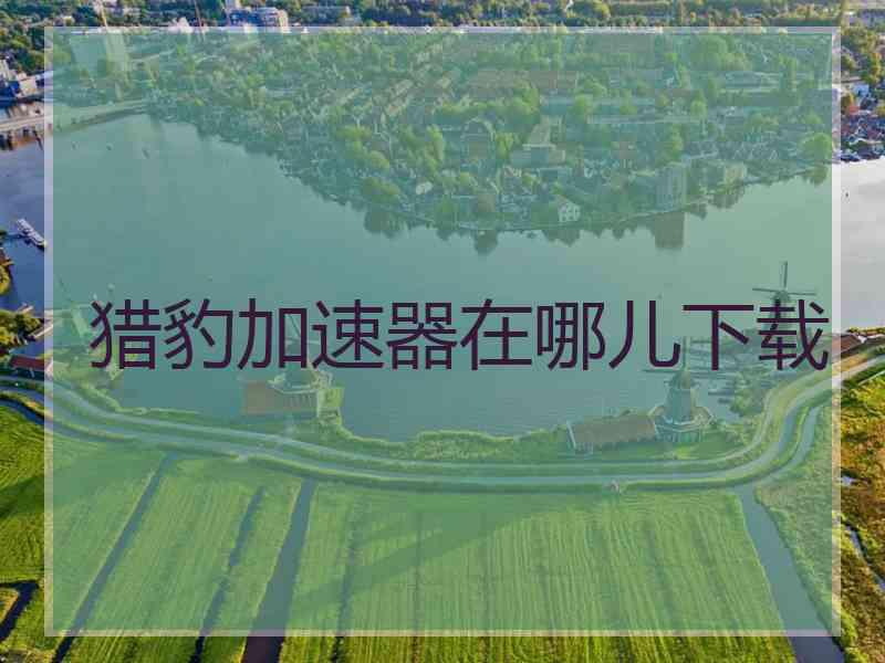 猎豹加速器在哪儿下载