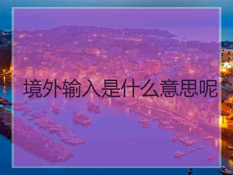 境外输入是什么意思呢