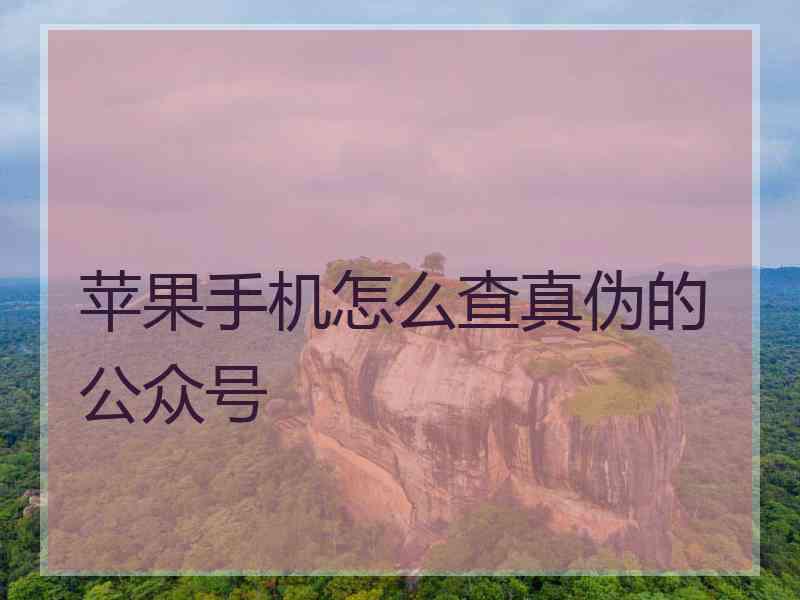 苹果手机怎么查真伪的公众号