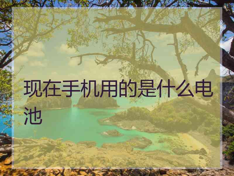 现在手机用的是什么电池