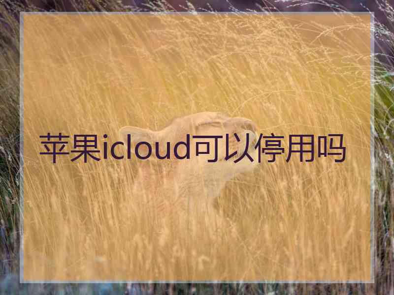 苹果icloud可以停用吗