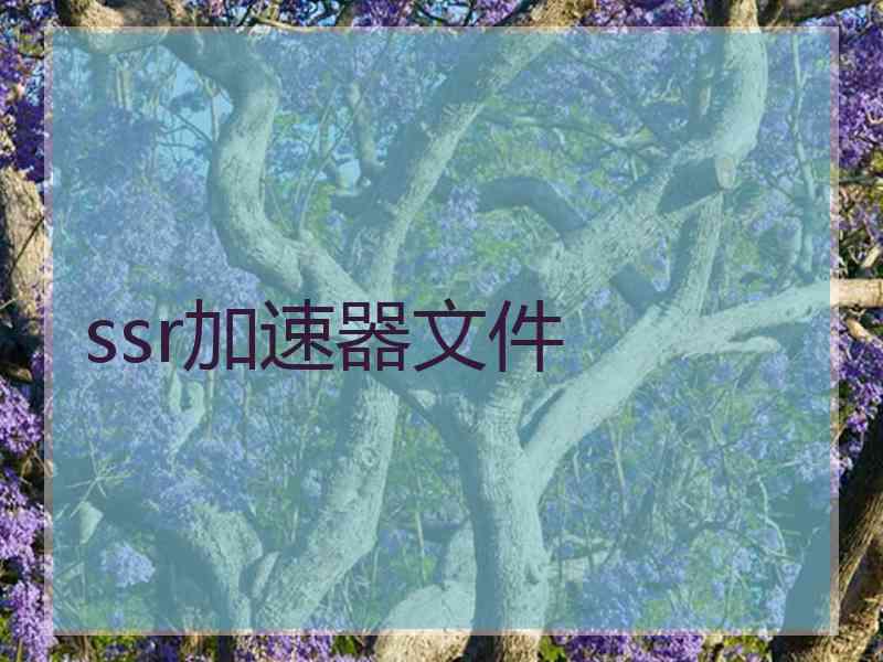 ssr加速器文件