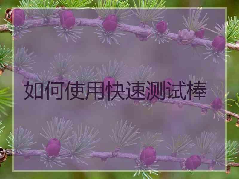 如何使用快速测试棒
